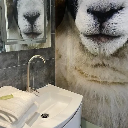 Park Broom - Caldew House - Eden House - Petteril House 度假居 卡莱尔