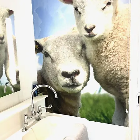 Park Broom - Caldew House - Eden House - Petteril House 度假居 *